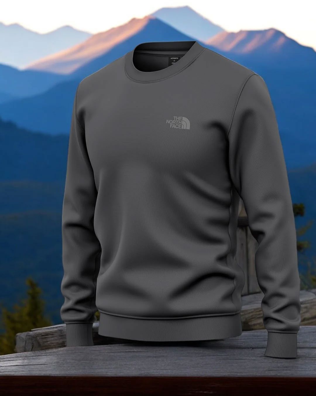 Pull TNF Homme (Liquidation)